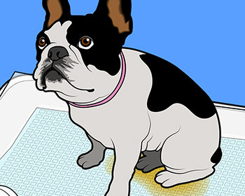 【works】イラストの発注の仕方（一例）